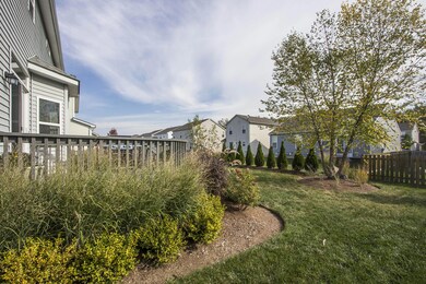 Rear Yard_1