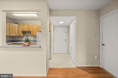 3100 S Manchester St unit 813, Falls Church, VA 22044 - photo 6