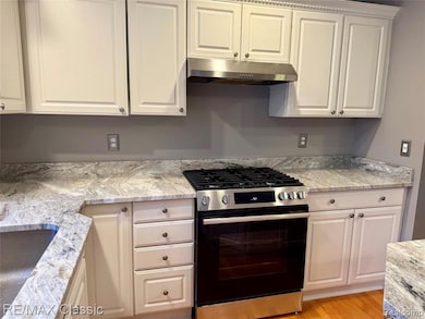 4020 Pine Ridge Ct, Fenton, MI 48430 - photo 4