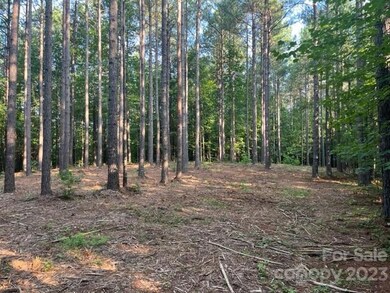 0 Manus Chapel Rd unit CAR4053894, Mill Spring, NC 28756 - photo 2