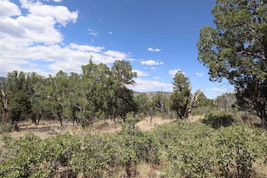 000 Trailer Rd unit 23, Timberon, NM 88350 - photo 5