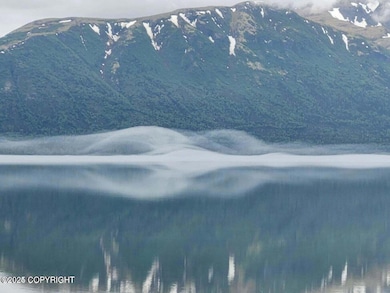 20240112100130800178000000-o