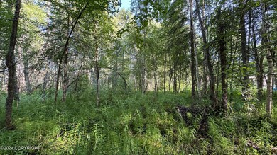 Woods