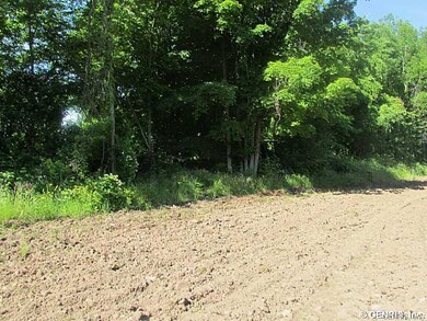 Land/Lot.