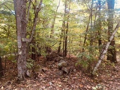 L7 Burley Park Dr, Wakefield, NH 03830 - photo 2