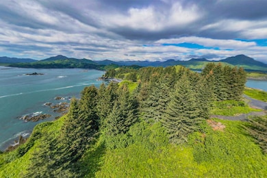 0 the Point 5a Cliff Point Rd unit Lot 11175676, Kodiak, AK 99615 - photo 4