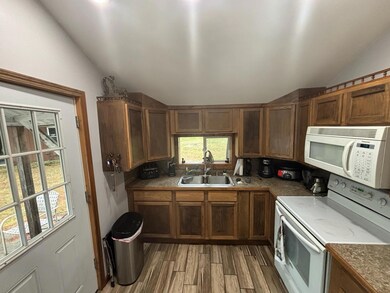 3031 W 72nd St, Baldwin, MI 49304 - photo 2