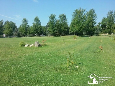 Mature trees/new plantings.
