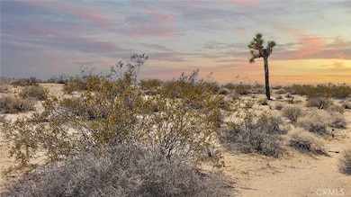 5678 La Brisa Dr, Joshua Tree, CA 92252 - photo 6