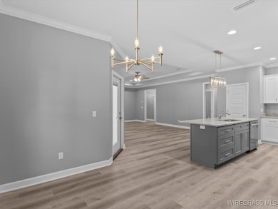 247 County Road 166, New Brockton, AL 36351 - photo 7