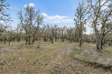 9483 Blackwell Rd, Central Point, OR 97502 - photo 6