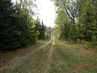 ON Tappa Rd, Deerbrook, WI 54424 - photo 4