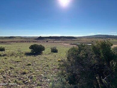 Eastern hillside looking East.