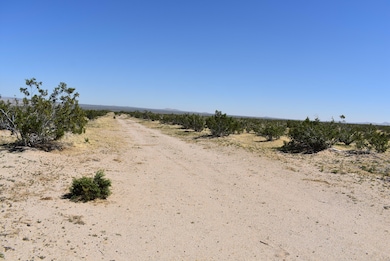 0 Yerba Blvd & S O Harriet Ave unit 25008995, Mojave, CA 93501 - photo 3