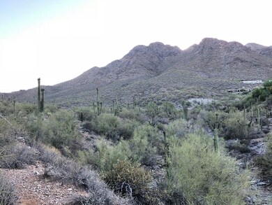 Expansive Mountain & Canyon Views