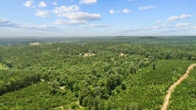 0 Cr 1101 unit 65882, Rusk, TX 75701 - photo 5