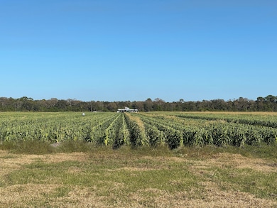 26754 SW Martin Hwy, Okeechobee, FL 34974 - photo 2