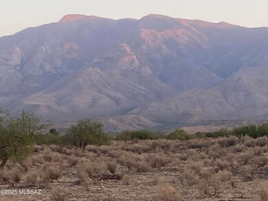 IMG-6218