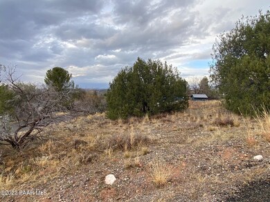 IMG_1816