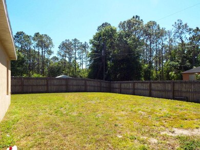 Backyard 3