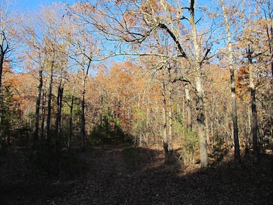 3605 Madison, Red Star, AR 72752 - photo 2