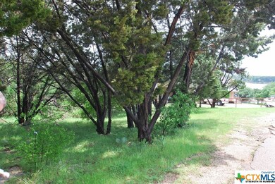 3251 Armadillo Ln, Temple, TX 76502 - photo 3