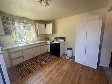 8849 Blumke Rd, Alanson, MI 49706 - photo 6