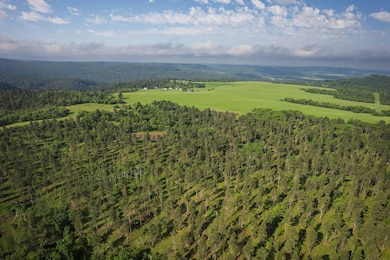 TBD Rocking H Ranch, Hulett, WY 82720 - photo 6