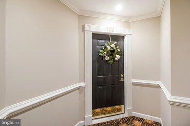 2330 14th St N unit 102, Arlington, VA 22201 - photo 6