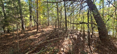 27 Foster, Lafayette, GA 30728 - photo 3