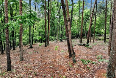 View of nature