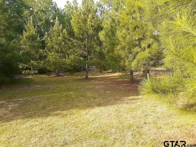 7104 Pin Oak Rd, Big Sandy, TX 75755 - photo 3