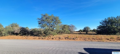 Lot 3A Cattlemans Trail, Silver City, NM 88061 - photo 4