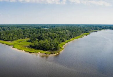Wando Village