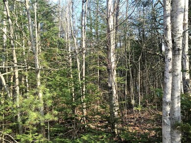 Variety of trees, pines, birches and...