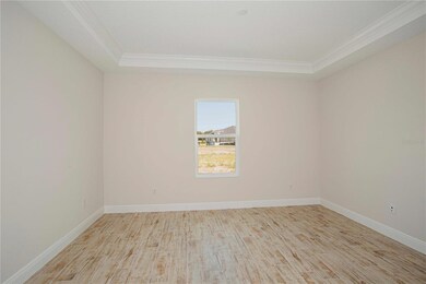 6106 Hidden Branch Dr, Apollo Beach, FL 33572 - photo 6