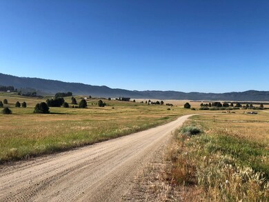 Lot 8 Smith Rd unit 8, Cascade, ID 83611 - photo 4