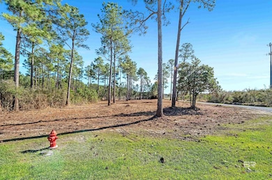 0 Canal Rd unit 2 375587, Orange Beach, AL 36561 - photo 5