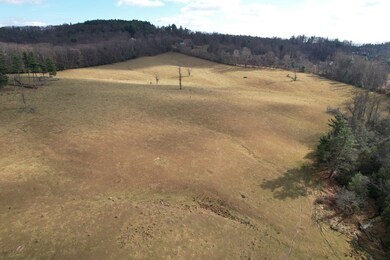 TBD Chantilly Dr, Fancy Gap, VA 24328 - photo 7