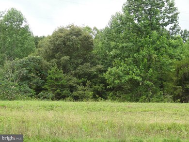 20471 Shady Grove Ln, Orange, VA 22960 - photo 4