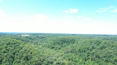 Tbd Cliff Rd, Union Township, MO 65459 - photo 5