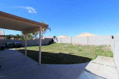 Back yard 2