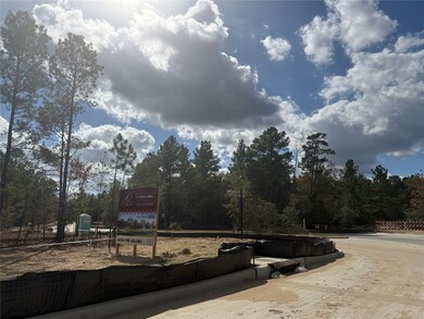 26747 Alderbrook Ave, Montgomery, TX 77316 - photo 4