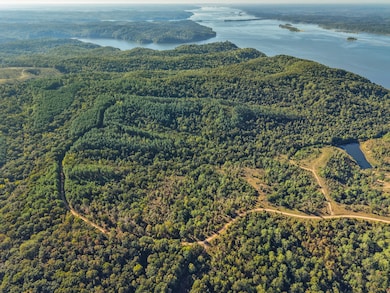 0 Shores Trail unit RTC2957908, Stewart, TN 37175 - photo 5