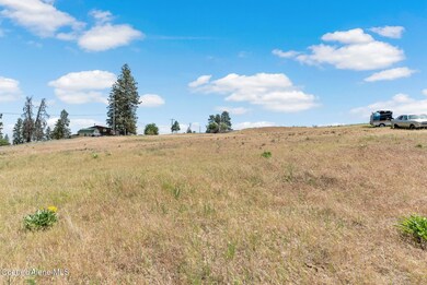 NNA 3rd State Route, Malden, WA 99149 - photo 4