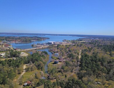 Aerial view looking over Lake Conroe