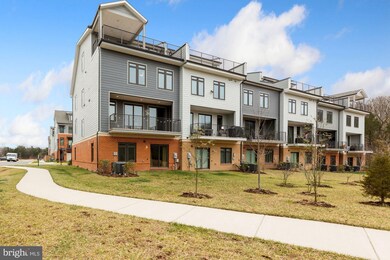 1801 Yellow Garnet Terrace SE, Leesburg, VA 20175 - photo 4