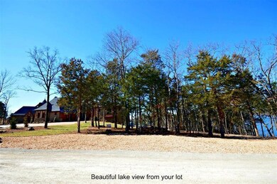 Lot 104 Summer Rd, Ruth B Rural Township, MO 65686 - photo 5