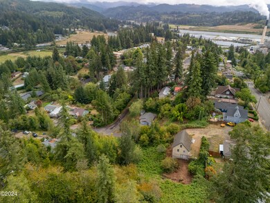 Aerial 3