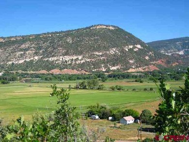 0 Elkridge Ln unit 677122, Durango, CO 81301 - photo 5